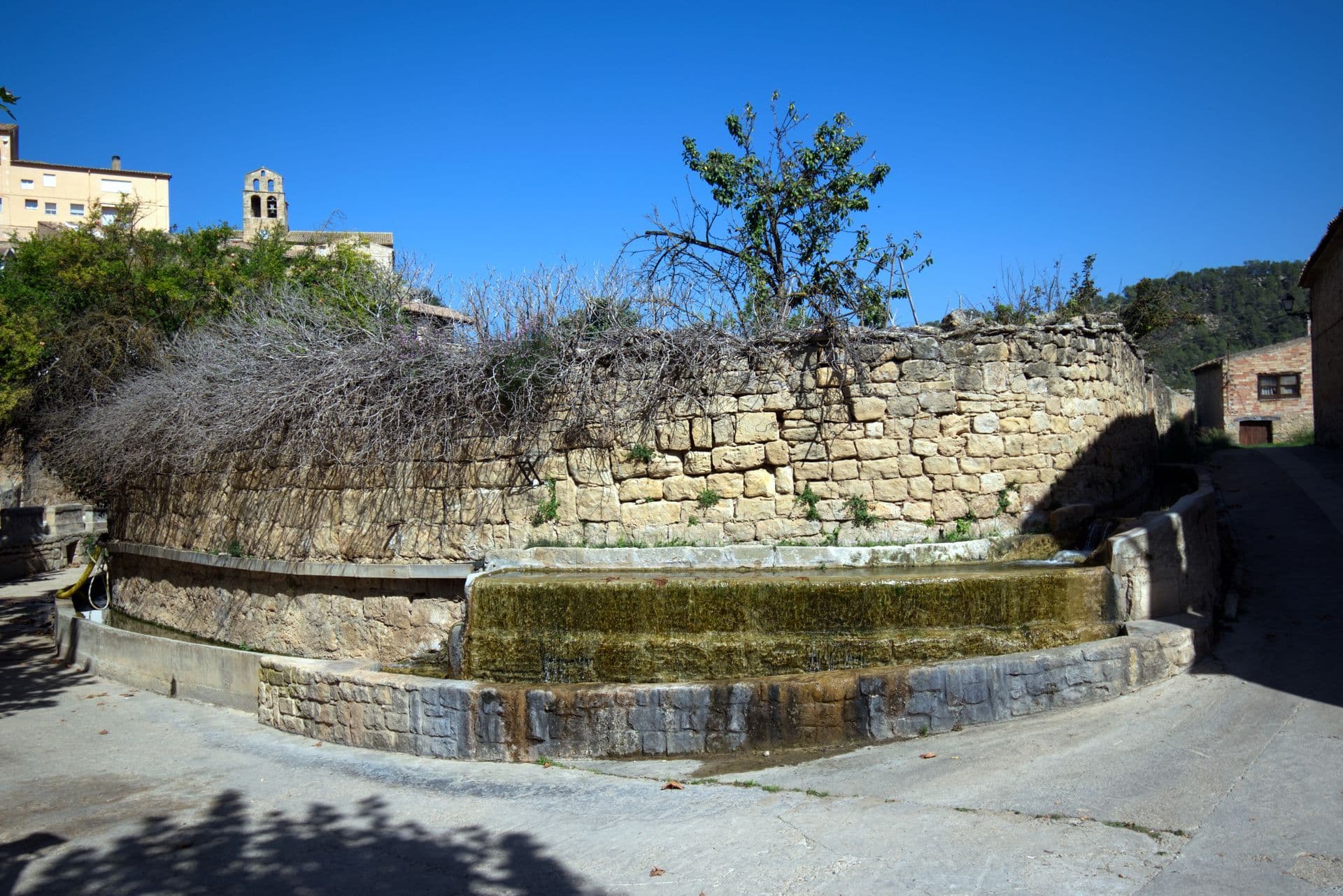 ArensAcequia-editado-sharpen_web.jpg