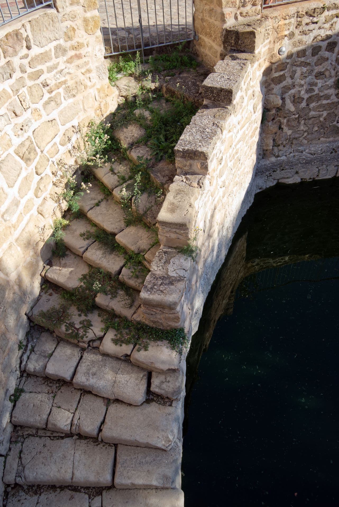 Balsa-San-Roque.jpg