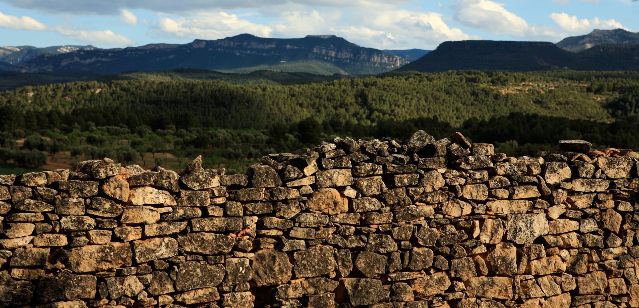 La piedra en seco, el arte de construir el paisaje