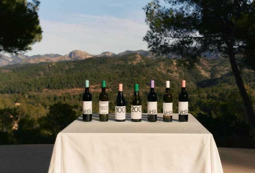 Cata de vinos y maridaje en Solo Office. 