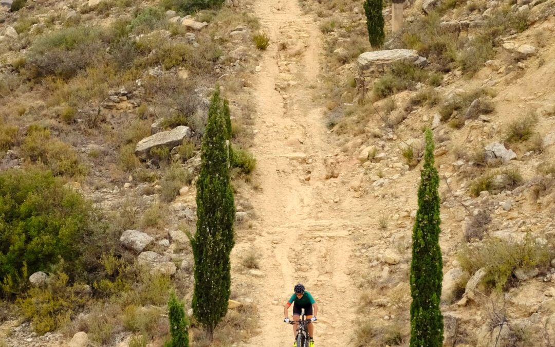 Ruta BTT-03-R04 Els Peirons